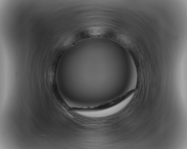 X0000086220227200704121903