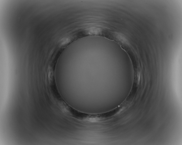 X0000086220228200704121903