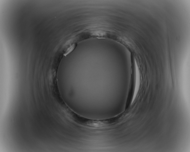 X0000086220229200704121903