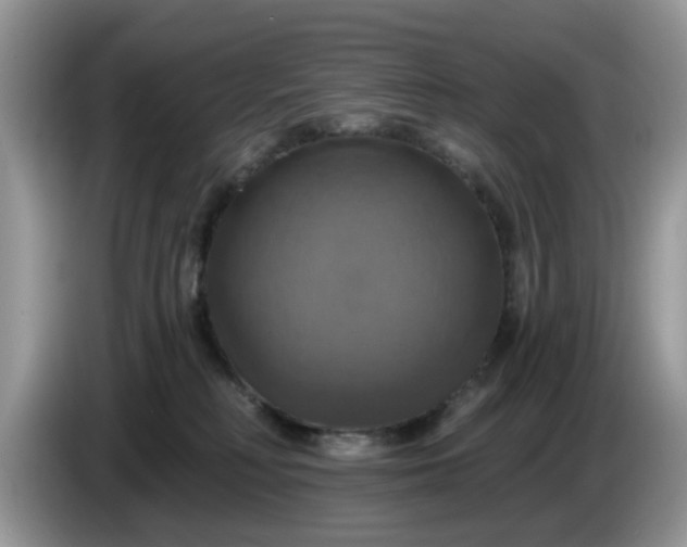 X0000086220230200704121902