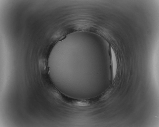 X0000086220232200704121902