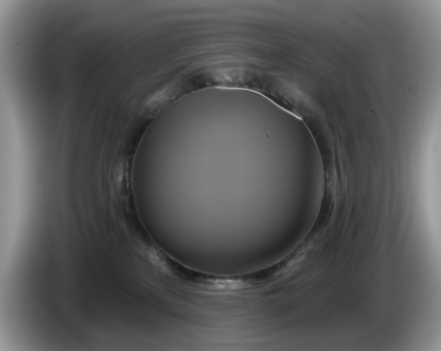 X0000086220233200704121902