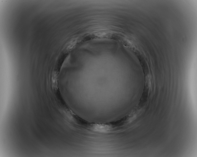 X0000086220234200704121902