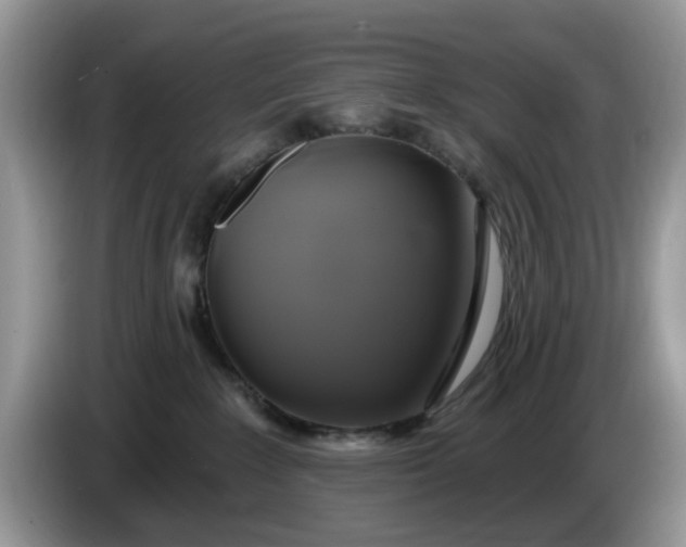 X0000086220235200704121902