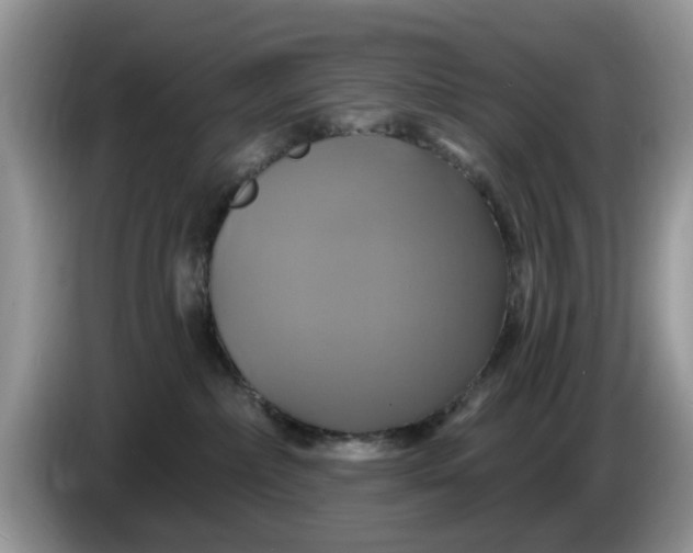 X0000086220236200704121902