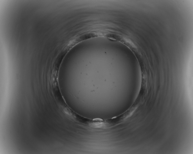 X0000086220237200704121902