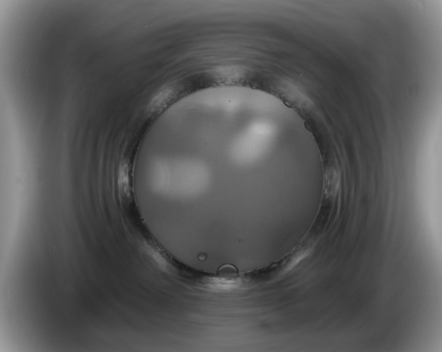 X0000086220238200704121902