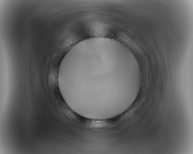 X0000086220240200704121902