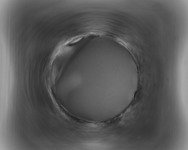 X0000086220241200704121902