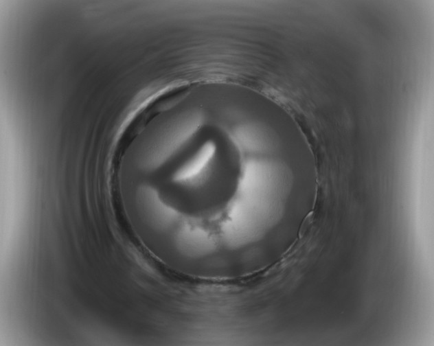 X0000086220242200704121902