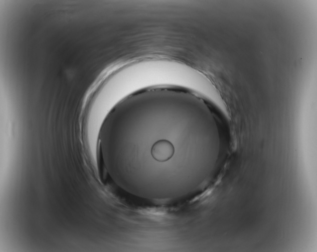 X0000086220244200704121902