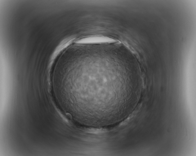 X0000086220245200704121902