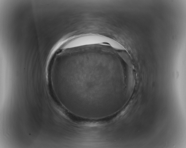 X0000086220246200704121902