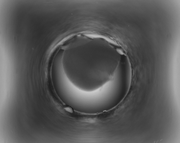 X0000086220247200704121902