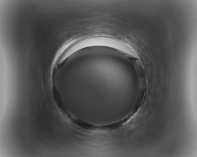 X0000086220248200704121902