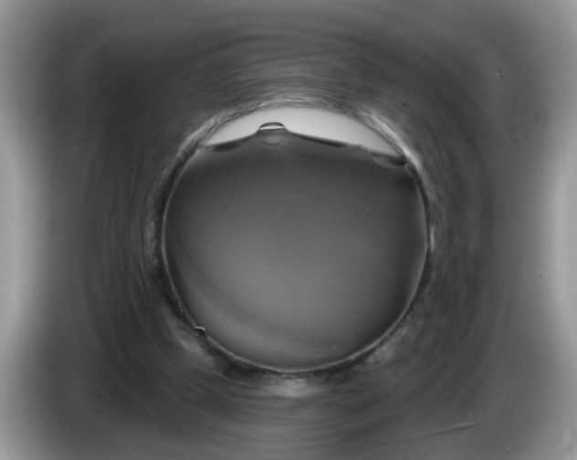 X0000086220249200704121902