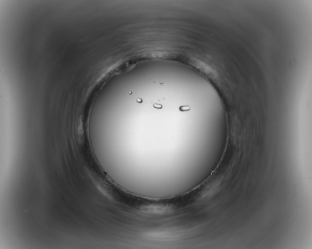 X0000086220251200704121902