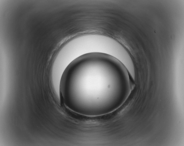 X0000086220252200704121902