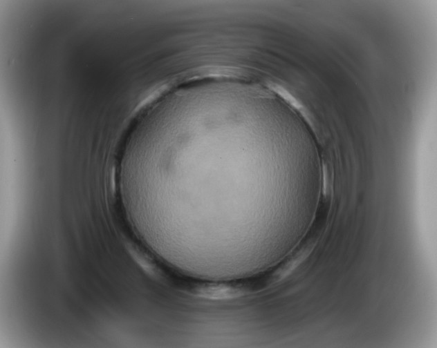 X0000086220253200704121902