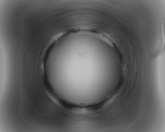 X0000086220254200704121902