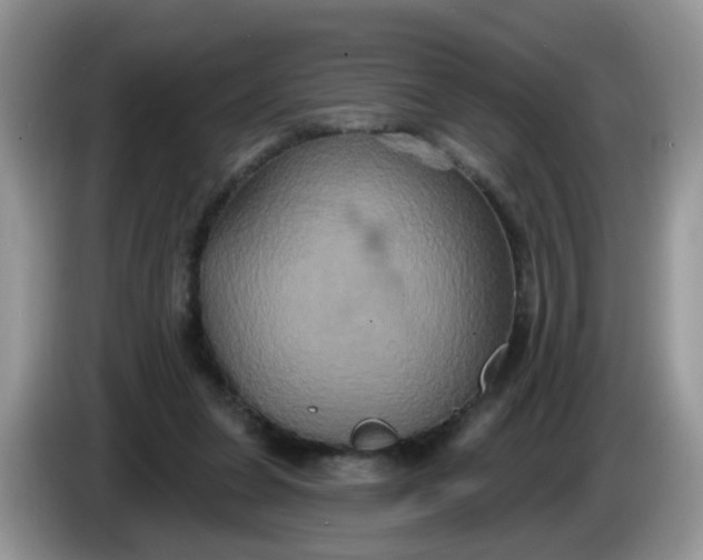 X0000086220255200704121902