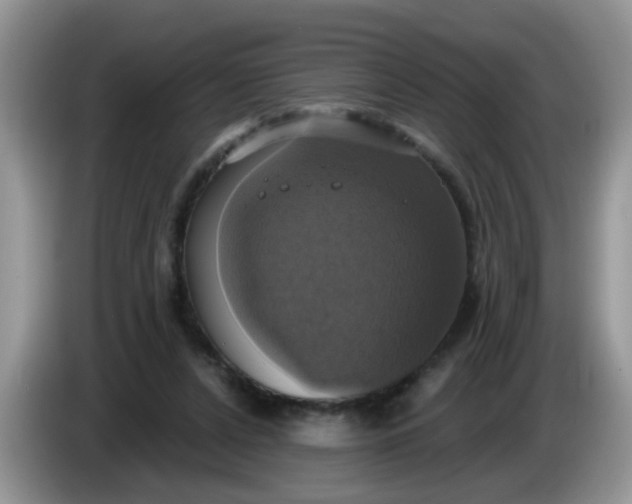 X0000086220256200704121902