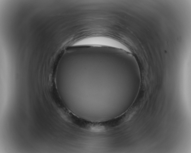 X0000086220258200704121902