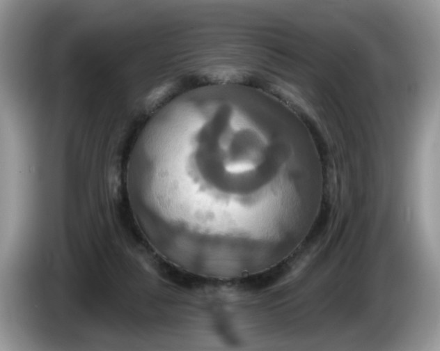 X0000086220259200704121902