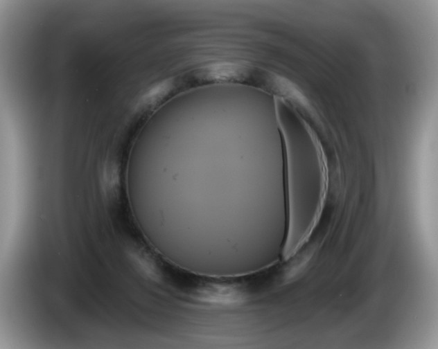 X0000086220260200704121902