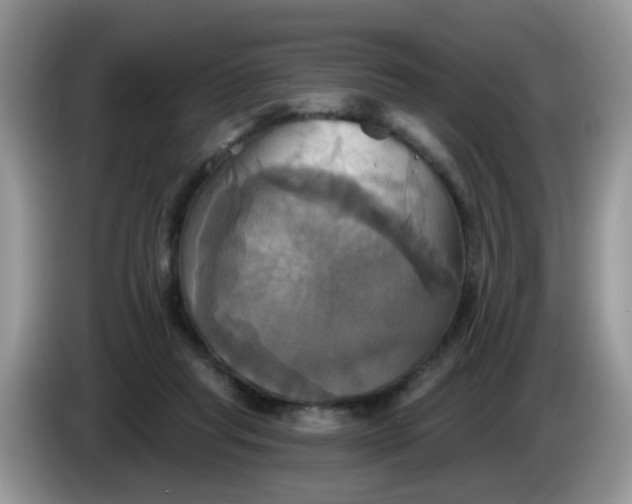 X0000086220261200704121902