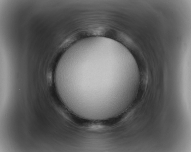 X0000086220262200704121902