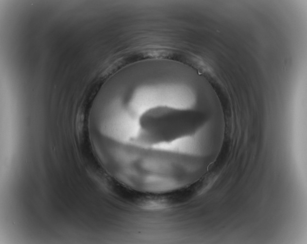 X0000086220263200704121902