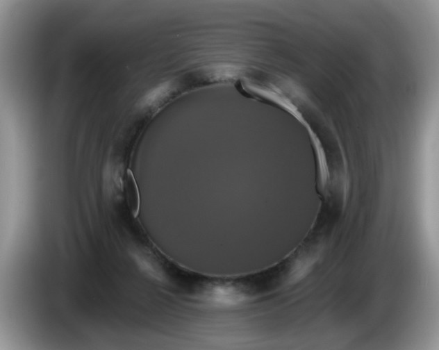 X0000086220264200704121902