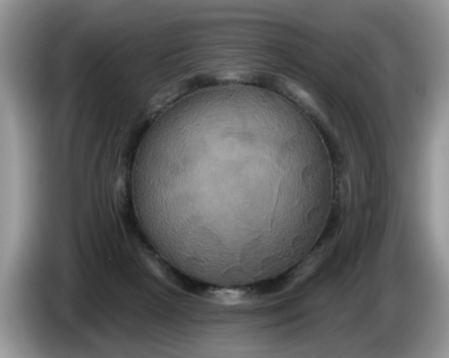 X0000086220265200704121902