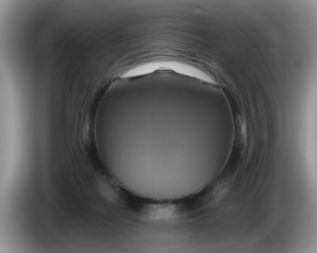 X0000086220266200704121902