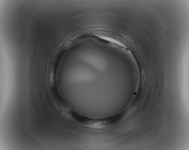 X0000086220267200704121902