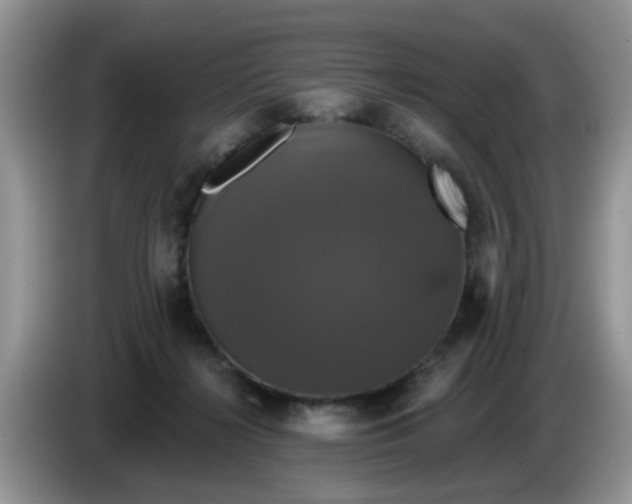 X0000086220268200704121902