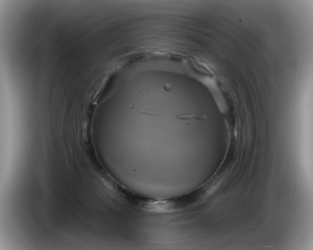 X0000086220269200704121902