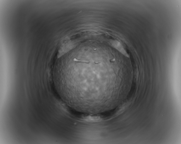 X0000086220270200704121902