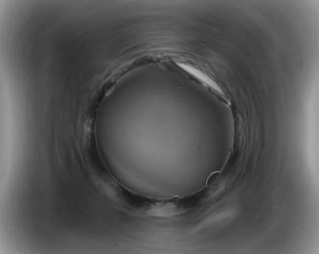 X0000086220271200704121902