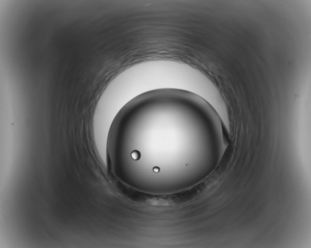 X0000086220272200704121902