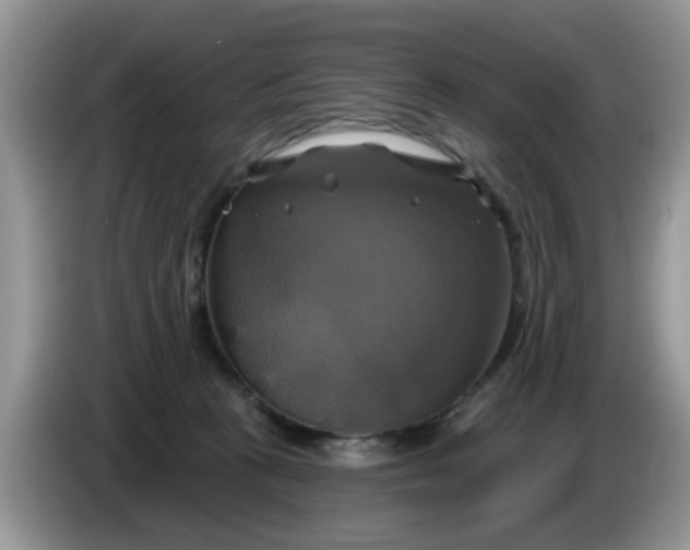 X0000086220273200704121902