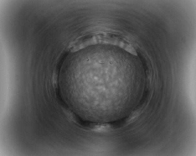 X0000086220274200704121902