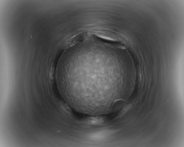 X0000086220275200704121902