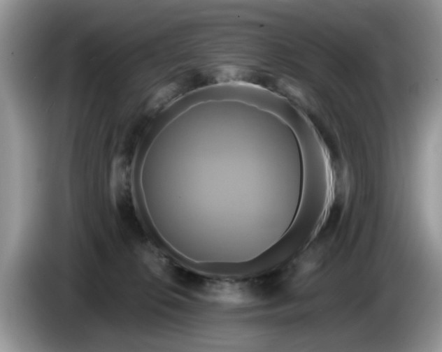 X0000086220276200704121902