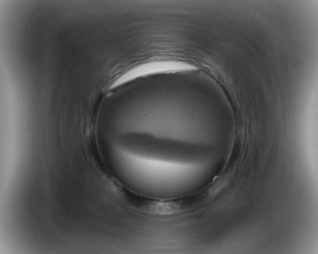 X0000086220277200704121902