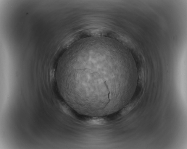 X0000086220278200704121902