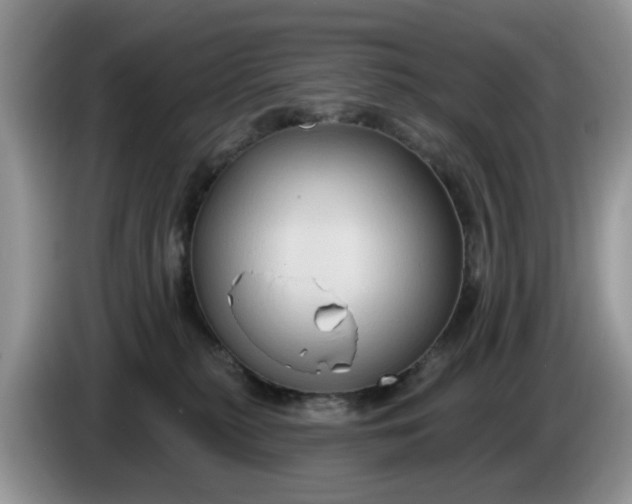 X0000086220279200704121902