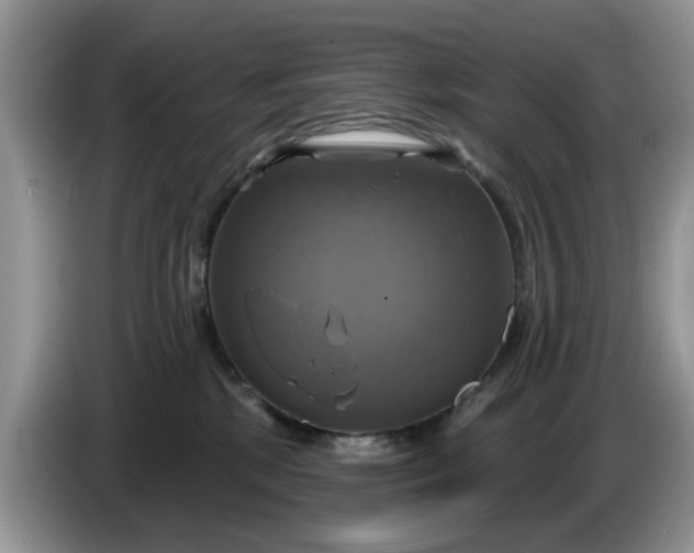 X0000086220281200704121902