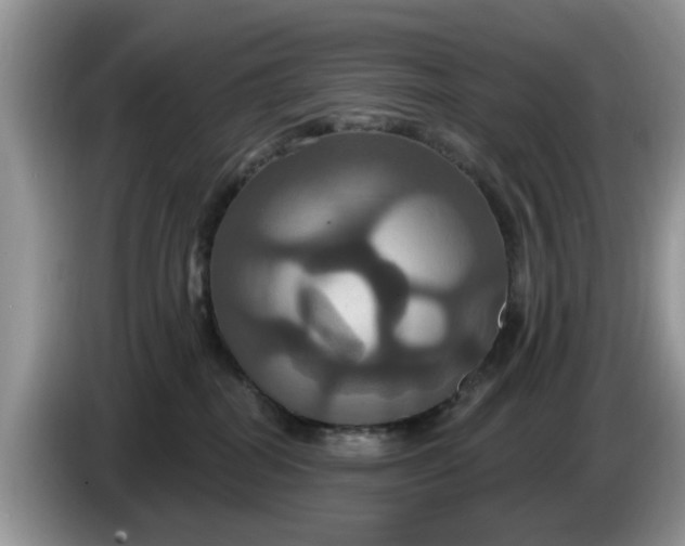 X0000086220282200704121902